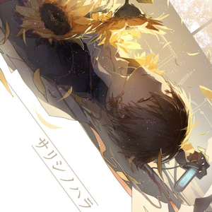 枫富爱空乘400最经典的一句
