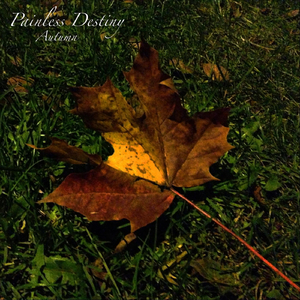 枫富爱空乘400最经典的一句
